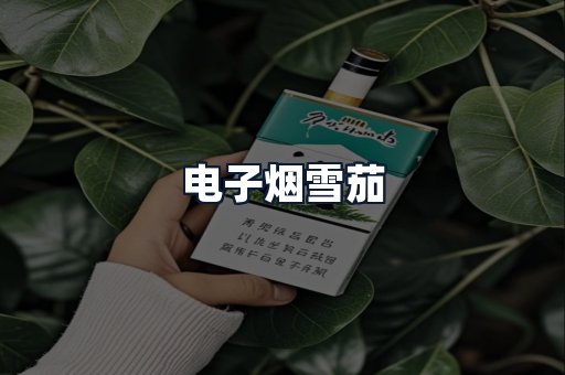 电子烟雪茄